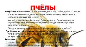 Пчелы Скачать презентацию про пчел на английском языке