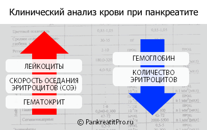 Как проверить поджелудочную железу какие анализы сдать. Хронический панкреатит биохимический анализ крови. Поджелудочная железа показатели биохимического анализа. Хронический панкреатит показатели крови. Анализ крови при панкреатите.