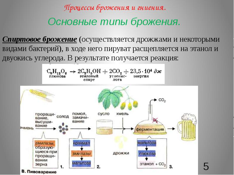 Презентация брожение спиртовое брожение